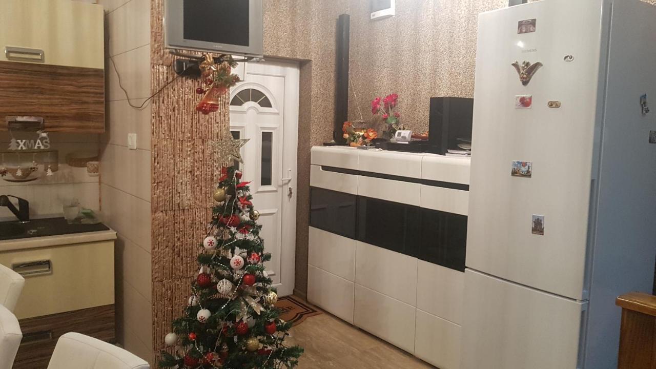 彼得罗沙尼 Casa Cojanu酒店 外观 照片
