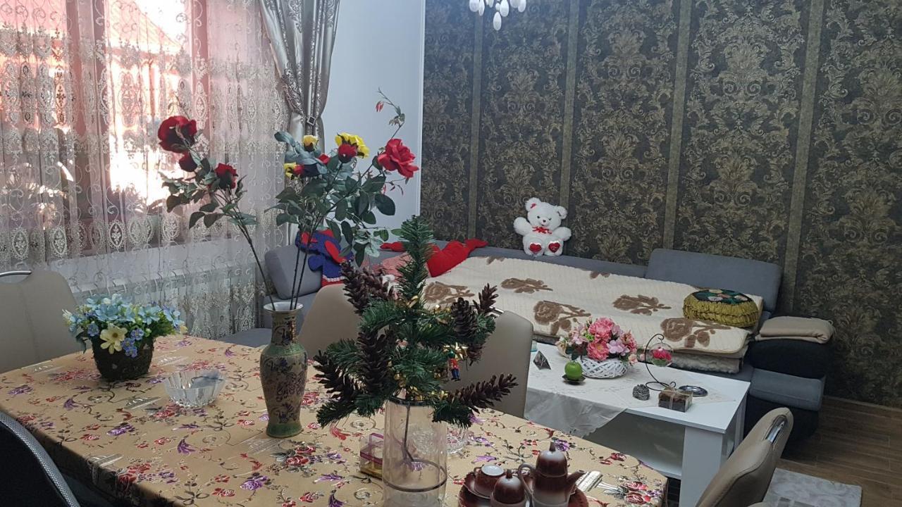 彼得罗沙尼 Casa Cojanu酒店 外观 照片