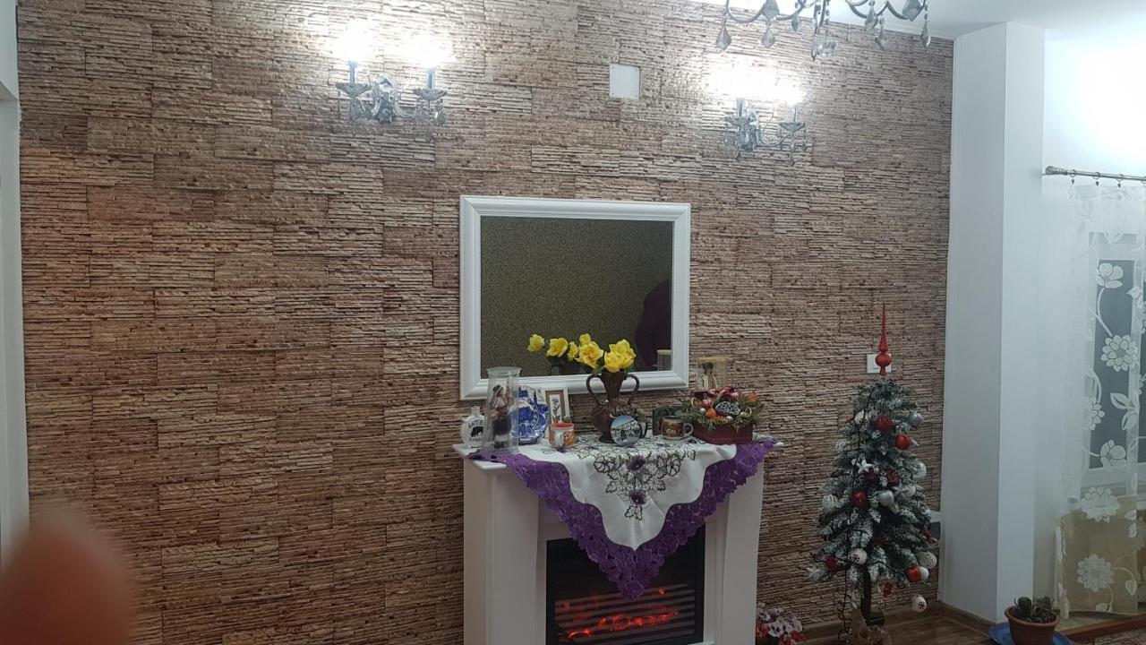 彼得罗沙尼 Casa Cojanu酒店 外观 照片