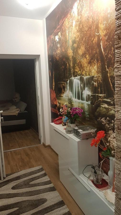 彼得罗沙尼 Casa Cojanu酒店 外观 照片